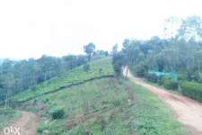 1 acre land in pulimkatta near vagamon for sale useful for resorts also