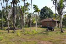 32 cent plot full or part Karamel Payyannur