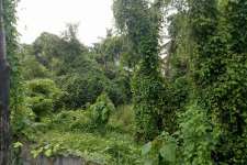 30 cent of land in Maradu ,Ernakulam for sale