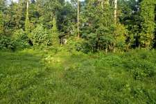 8 Cent of land in Mammala, Thiruvankulam for sale