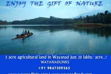 3 acre agricultural land in Wayanad just 20 lakhs/ acre...!