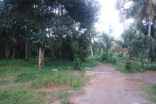 3.5Acres of commercial land besides Haripad Medical College