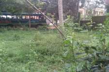 32+50 cent Good House plot with agricultural land for sale in Bharanicavu