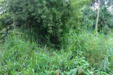 5cent commercial  land for sale in puzhakkal