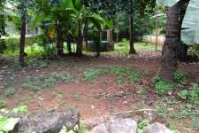 7 cent Residential land with an old house for sale in Punkunnam