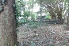 22 cent Commercial land for sale in