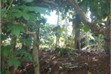 2.75 acre in wayanad sultan bathery wayanad