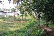 1 acre ..500 mts from nh47.karkukutty