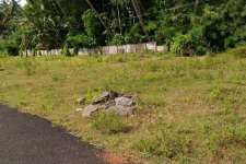 Residential land for sale in Aranattukkara