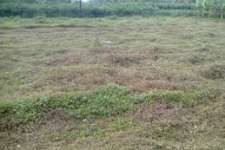 1 acre 36 cent residential plot ,2 km from chalakkudy