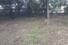 Residential land for sale in kuriachira