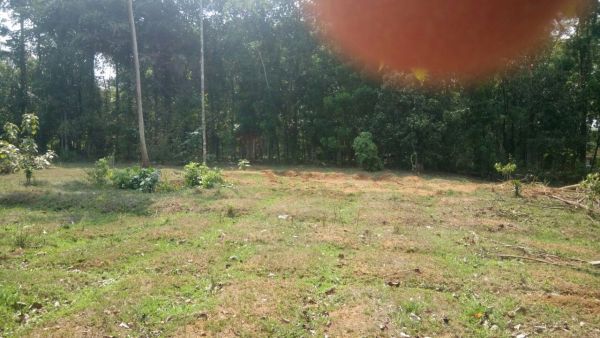 47 cents of land in vengoor village, kurupampady, perambavoor