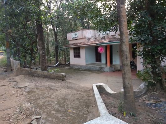 1 Acre Land with 1000 sqft house and plantation (mainly rubber), in puthur, Thrissur