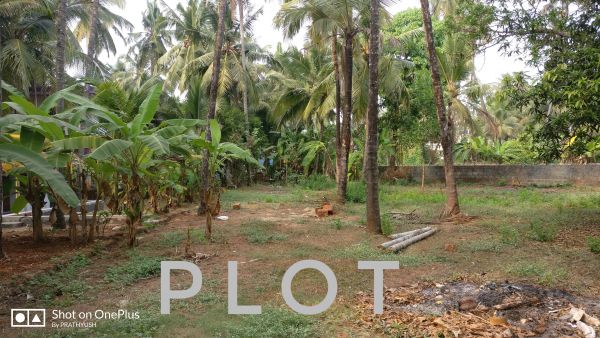 18 Cent Land For Sale in Kannur, Near New bus stand