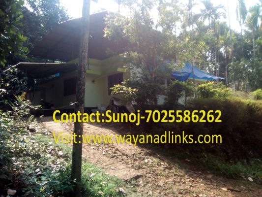 55 cent land with 1300 Sq. ft House for sale at Kenichira,Wayanad