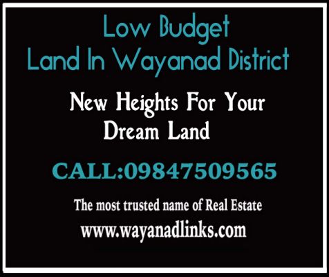 2.5 Acre agricultural land at Nadavayal,Wayanad