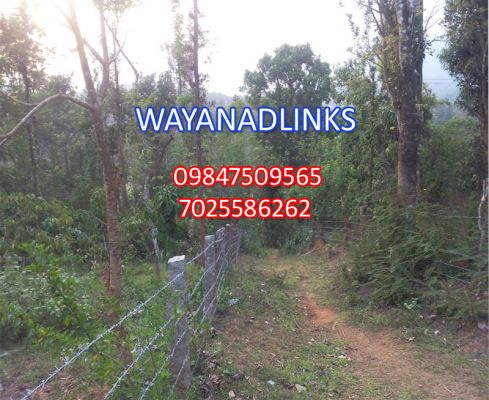 3 acre agricultural land for sale at Mananthavady