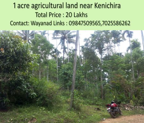 1 acre agricultural land near Kenichira,Wayanad