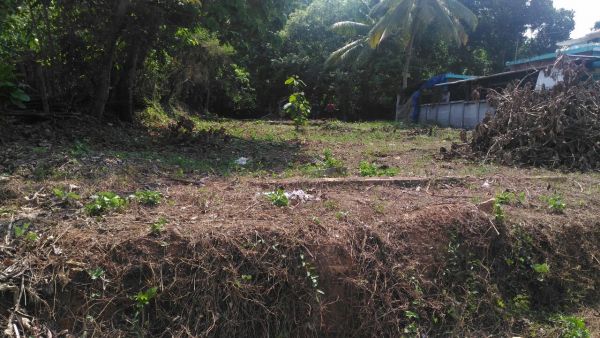 26 CENT COMMERCIAL LAND FOR SALE NEAR MUTHUVARA