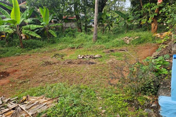 The residential land for sale at Olari, Chettupuzha, Thrissur.