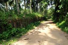 18 cent of plane land for sale in thamarassery