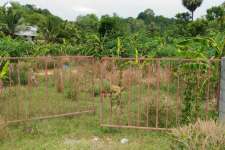 1.50 ACRE COMMERCIAL LAND FOR SALE NEAR VADAKKANCHERY - PALAKKAD HIGHWAY