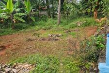 The residential land for sale at Olari, Chettupuzha, Thrissur.