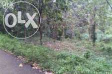 i want sale my plot 12 cent very low price parayil house vellayil po thiruvalla 25 kol meter from