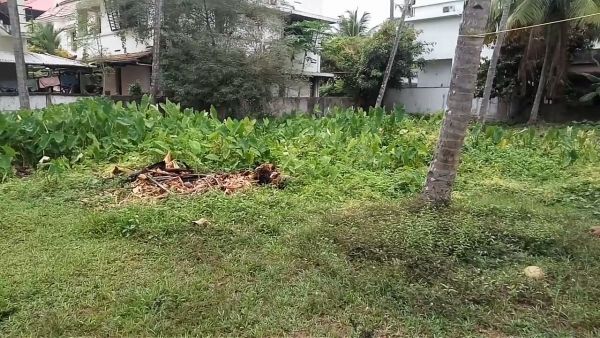 22 cent residential land for sale in Tripunithura