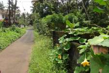 14.5 cent house plot at iringol perumbavoor