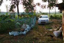 10 cent land at Athani Kurumassry route  Parakadavu Near Nss school,