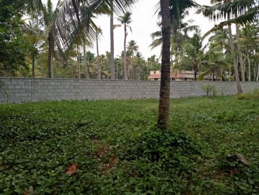 8 cents of land in Thripunithura-Udayamperoor