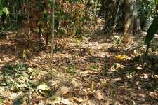 9 cent Plot in Keralapuram near NH.. 375000per cent