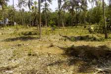 1acre of land in kottappuram,kadakkal