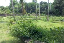 4,5,6,10 cent house plots in Mulanthuruthy-Amballur