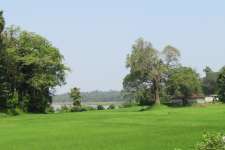 68 Cents River front Residential land Ottappalam