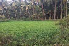 1 Acre land for sale in Shiriya, Kasargod