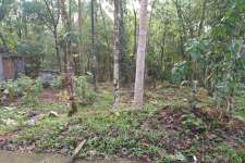 9 CENT ROAD SIDE LAND FOR AN URGENT SALE AT CHALAPARAMBU, ADOOR