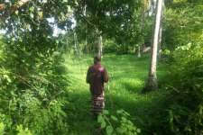 Approx 70 cents of ideal residential land in Tavanur, Malappuram