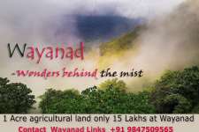 1 Acre agricultural land for sale at Kenichira Wayanad just 15 Lakhs