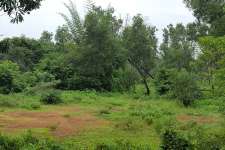 36 cents of land near MES Engineering College Kuttipuram