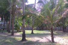 17cent residential land for sale in Munnamkutty,Kayamkulam,Alappuzha