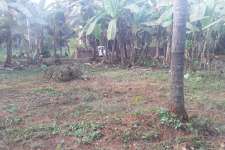 LAND NEAR MAVOOR ROAD KOZHIKODE