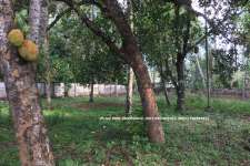 20 cent residential  plot near Chathanoor LIC Building