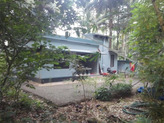 50 cent land with 3 bed room house   thottumukkom near by mukkom  kozhikode dt