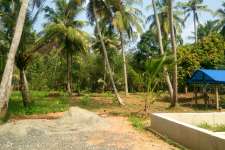 30 to 40 cent  residential land near indo american hospital and kalathil resort