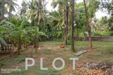 18 Cent Land For Sale in Kannur, Near New bus stand