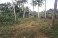 (9 ground approx 50 cent) Cherupoika, Pavithreswaram village, Kottarakkara Talk, Kollam