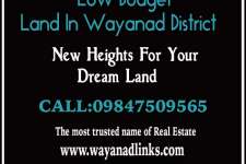 2.5 Acre agricultural land at Nadavayal,Wayanad