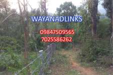 3 acre agricultural land for sale at Mananthavady